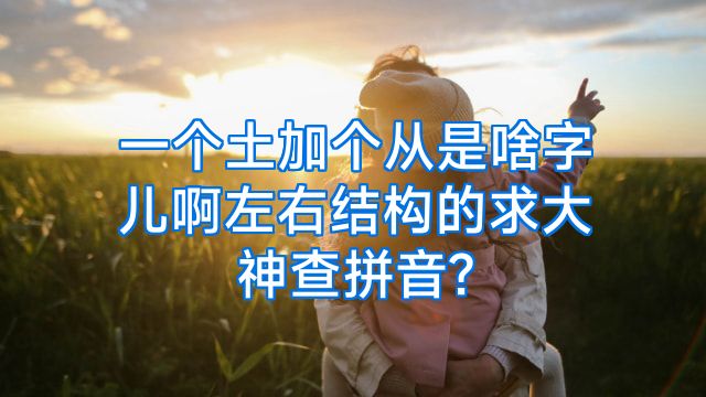一个土加个从是啥字儿啊左右结构的求大神查拼音?