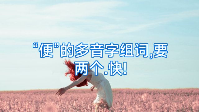 “便”的多音字组词,要两个.快!