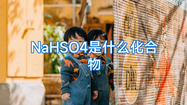 NaHSO4是什么化合物