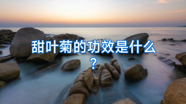 甜叶菊的功效是什么?