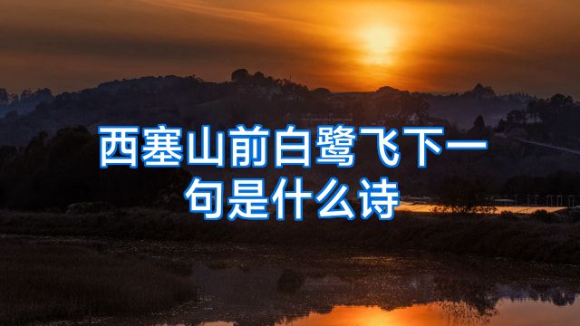 西塞山前白鹭飞下一句是什么诗