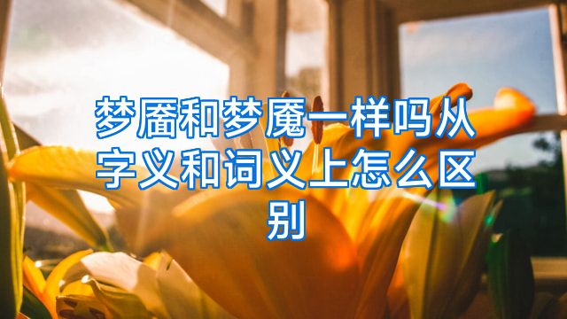 梦靥和梦魇一样吗从字义和词义上怎么区别