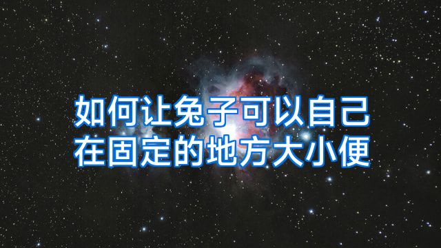 如何让兔子可以自己在固定的地方大小便