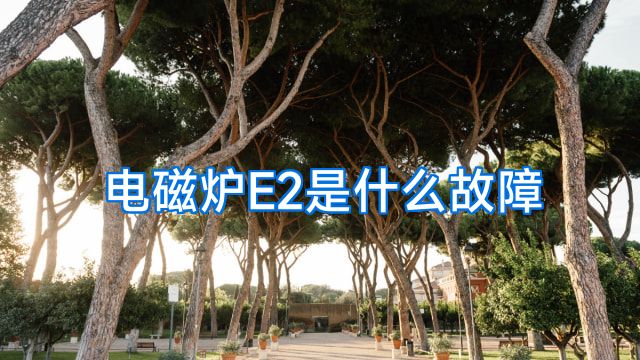 电磁炉E2是什么故障