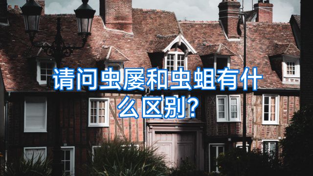 请问虫屡和虫蛆有什么区别?