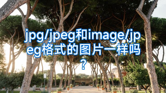 jpg/jpeg和image/jpeg格式的图片一样吗?