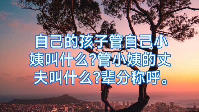自己的孩子管自己小姨叫什么?管小姨的丈夫叫什么?辈分称呼。