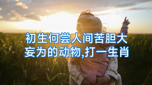 初生何尝人间苦胆大妄为的动物,打一生肖