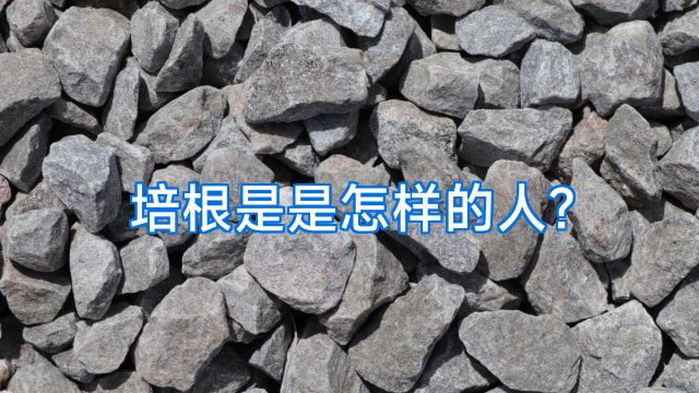 培根是是怎样的人?