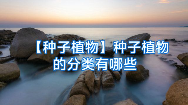 【种子植物】种子植物的分类有哪些