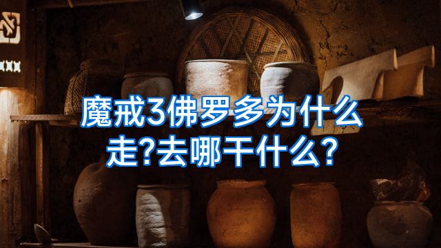 魔戒3佛罗多为什么走?去哪干什么?