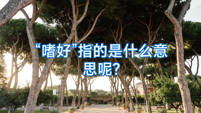 “嗜好”指的是什么意思呢?