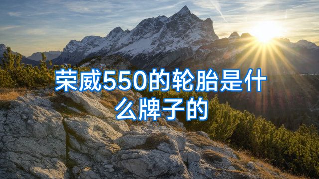 荣威550的轮胎是什么牌子的