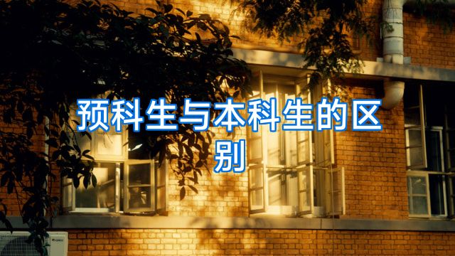 预科生与本科生的区别