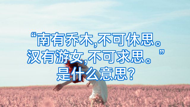 “南有乔木,不可休思。汉有游女,不可求思。”是什么意思?