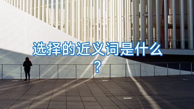 选择的近义词是什么?