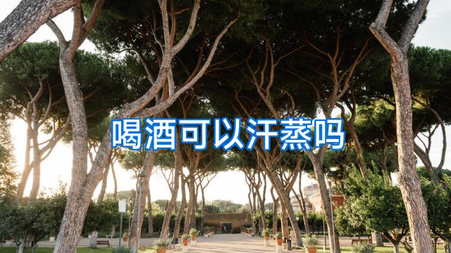 喝酒可以汗蒸吗
