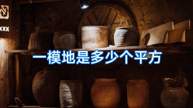 一模地是多少个平方