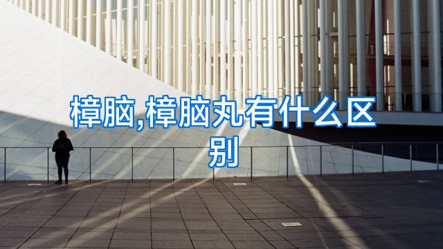 樟脑,樟脑丸有什么区别