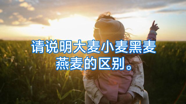 请说明大麦小麦黑麦燕麦的区别。