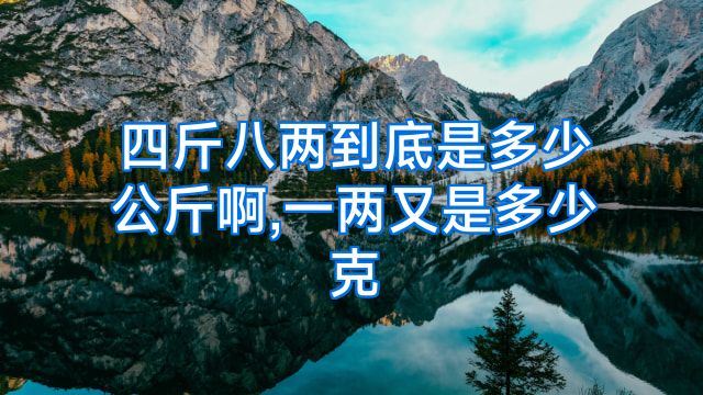 四斤八两到底是多少公斤啊,一两又是多少克