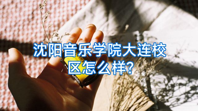沈阳音乐学院大连校区怎么样?