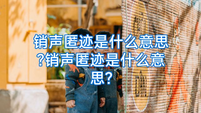 销声匿迹是什么意思?销声匿迹是什么意思?