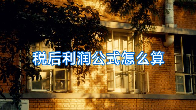 税后利润公式怎么算