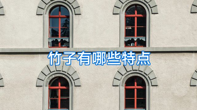竹子有哪些特点