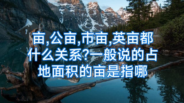 亩,公亩,市亩,英亩都什么关系?一般说的占地面积的亩是指哪