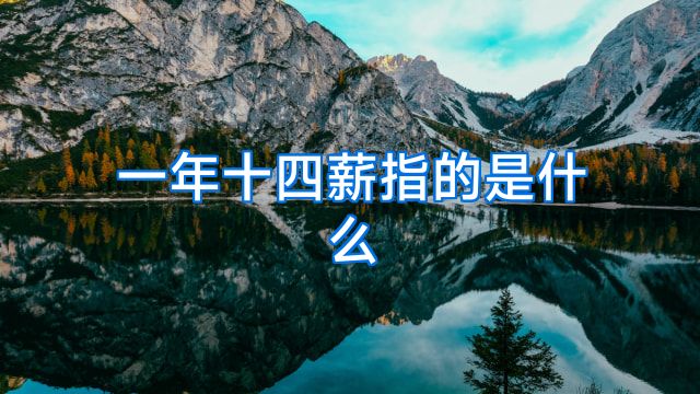 一年十四薪指的是什么