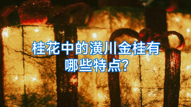 桂花中的潢川金桂有哪些特点?