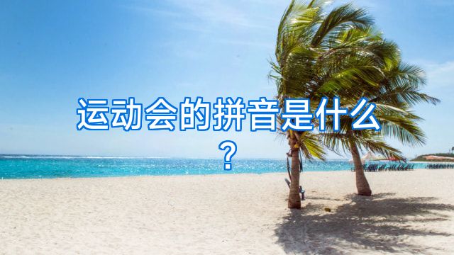 运动会的拼音是什么?