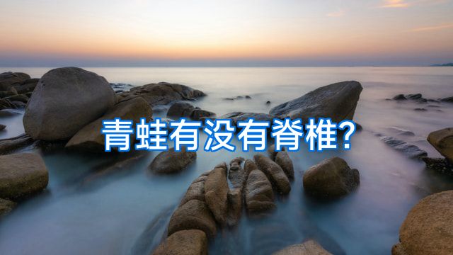 青蛙有没有脊椎?