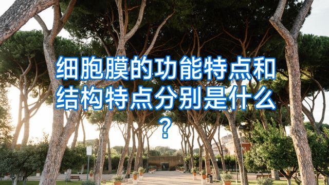 细胞膜的功能特点和结构特点分别是什么?