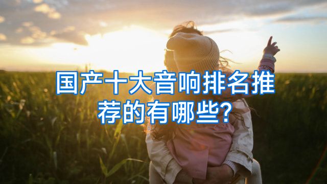 国产十大音响排名推荐的有哪些?