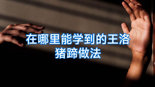 在哪里能学到的王洛猪蹄做法