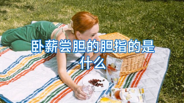 卧薪尝胆的胆指的是什么