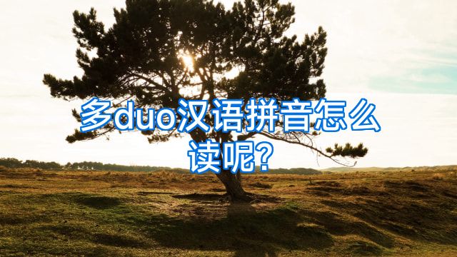 多duo汉语拼音怎么读呢?