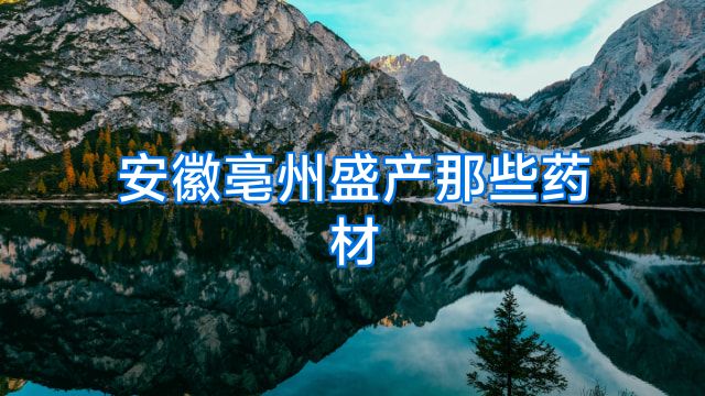 安徽亳州盛产那些药材