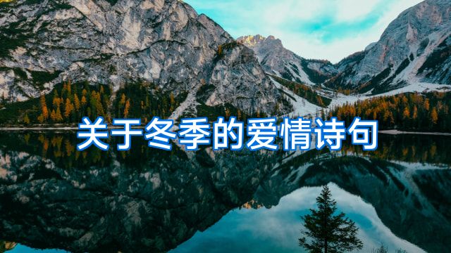关于冬季的爱情诗句