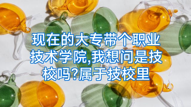现在的大专带个职业技术学院,我想问是技校吗?属于技校里