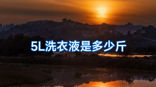 5L洗衣液是多少斤