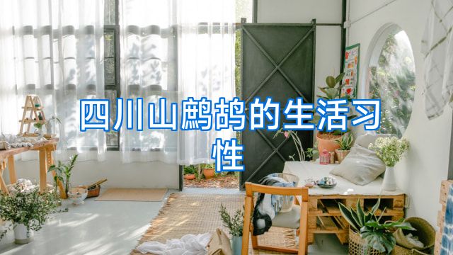 四川山鹧鸪的生活习性