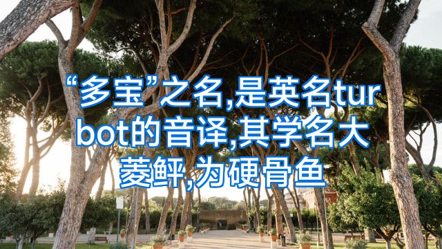 “多宝”之名,是英名turbot的音译,其学名大菱鲆,为硬骨鱼