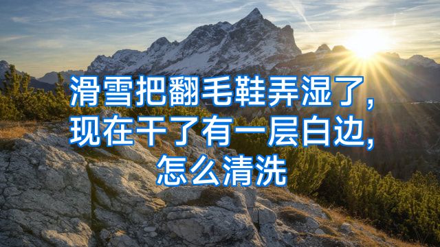 滑雪把翻毛鞋弄湿了,现在干了有一层白边,怎么清洗