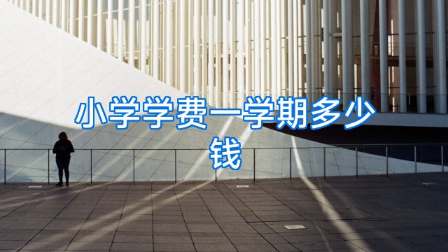 小学学费一学期多少钱