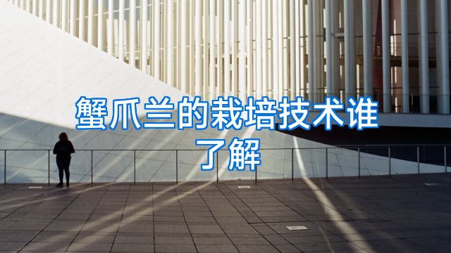 蟹爪兰的栽培技术谁了解