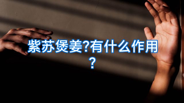 紫苏煲姜?有什么作用?