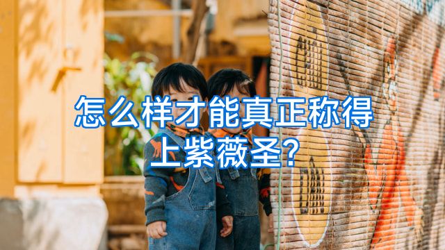 怎么样才能真正称得上紫薇圣?